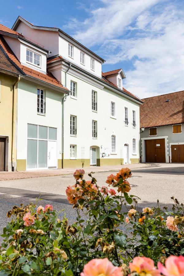 Braviscasa - Ferienresidenz Kenzingen Europa Park Apartment Ngoại thất bức ảnh