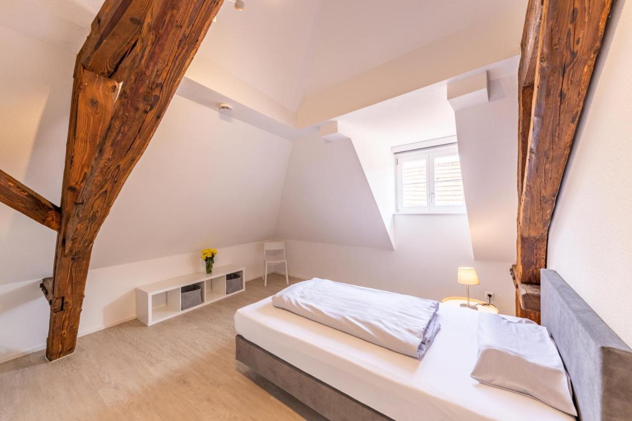 Braviscasa - Ferienresidenz Kenzingen Europa Park Apartment Ngoại thất bức ảnh